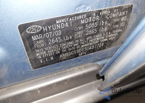 2003 Hyundai Santa Fe Gls/Lx z USA, uszkodzony, nr VIN KM8SC13D13U487724